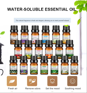Umidificatore con Logo Personalizzato, Olio Essenziale 100% Naturale Profumato alla Lavanda, Olio Profumato per Auto per Purificare l'Aria Interna - Product Image 2