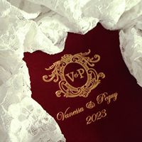 Invitation de mariage en acrylique transparent LOGO à couverture rigide en velours bordeaux de luxe avec RSVP et enveloppe