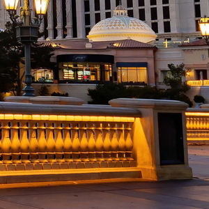 Bande LED COB-320 10W/m 5m Lumière Blanche Chaude Barre Lumineuse 1000Lm/m 4000K IP68 pour Éclairage Paysager SKU-23139 - Product Image 3