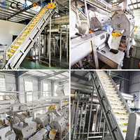 Automatische mango-sapverwerkingslijn met concentratiefunctie, 6000 Bph capaciteit