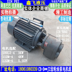 Unidad de Motor de Bomba de Aceite para Engranajes Hidráulicos LWBZ-CB-B80 B100 B125 JZ YE2-L00L2-4 3KW - Product Image 1