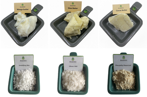 Polvo de extracto de corteza de roble blanco de alta calidad - Product Image 6