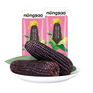 Свежая GMO фиолетовая восковая Кукуруза доступна для продажи