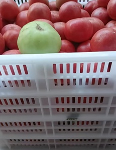 Supermarket pp Crate Freezer 120mm 140mm Freezing Tunnels Agriculture <strong>Stacking</strong> Turnover Plastic Collapsible <strong>Storage</strong> <strong>Basket</strong> - Product Image 3