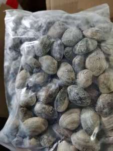 Conchas de embalaje para <span class=keywords><strong>almejas</strong></span> de cocina congelada - Product Image 5