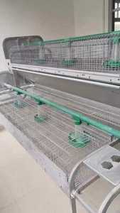 กรงเลี้ยงกระต่ายแบบสองชั้น36ชั้นสำหรับ<span class=keywords><strong>ฟาร์ม</strong></span><span class=keywords><strong>กระต่าย</strong></span><span class=keywords><strong>เนื้อ</strong></span> - Product Image 2