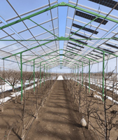 Panneau solaire transparent 320W, prix par watt, directement de l'usine, module PV monocristallin pour systèmes agricoles photovoltaïques