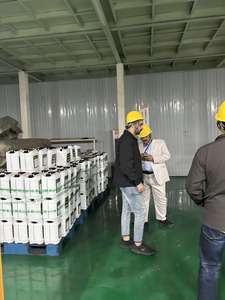 Volledig wateroplosbaar zeewierextract poeder, composttype supplement ter bevordering van de wortelgroei / bevordering van de plantenontwikkeling, groen poeder - Product Image 6