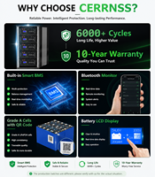 CERRNSS Promotion Batterie de Stockage d'Énergie Solaire LiFePO4 51.2V 48V 100AH 200AH 300AH avec plus de 6000 cycles de charge, capacités 5KWH 10KWH 15KWH