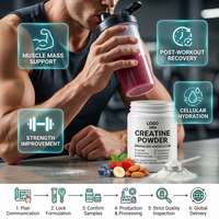 Créatine en poudre aromatisée, formule personnalisée ODM, non-OGM, halal, antioxydante pour adultes, récupération post-exercice, prévention des blessures articulaires