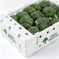 Boîte d'emballage en polypropylène ondulé personnalisée pour le brocoli, pour l'exportation de légumes frais en chaîne du froid, imprimée UV, durable