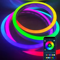 Lampu Strip LED Fleksibel Neon RGB 5050 IP67 PVC Silikon 12V/24V Panjang 10m Putih Hangat dengan Pengontrol Kontrol Suara 12mm