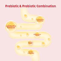 Gouttes probiotiques Pure Liquid Complément alimentaire pour animaux de compagnie Liquide probiotique pour chats et chiens avec enzymes digestives