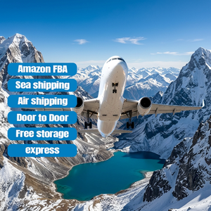 Servicio de Logística Puerta a Puerta con Envío Aéreo Exprés FBA DHL Fedex, Agente de Transporte de Carga a EE. UU. y Canadá - Product Image 1