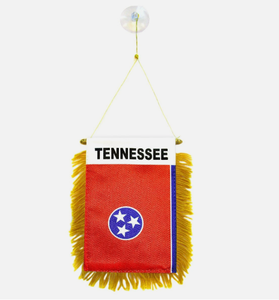Bandera de South <span class=keywords><strong>Carolina</strong></span> para colgar en la ventana, mini banderas para coche, decoración para espejo retrovisor con ventosa y flecos dorados - Product Image 3