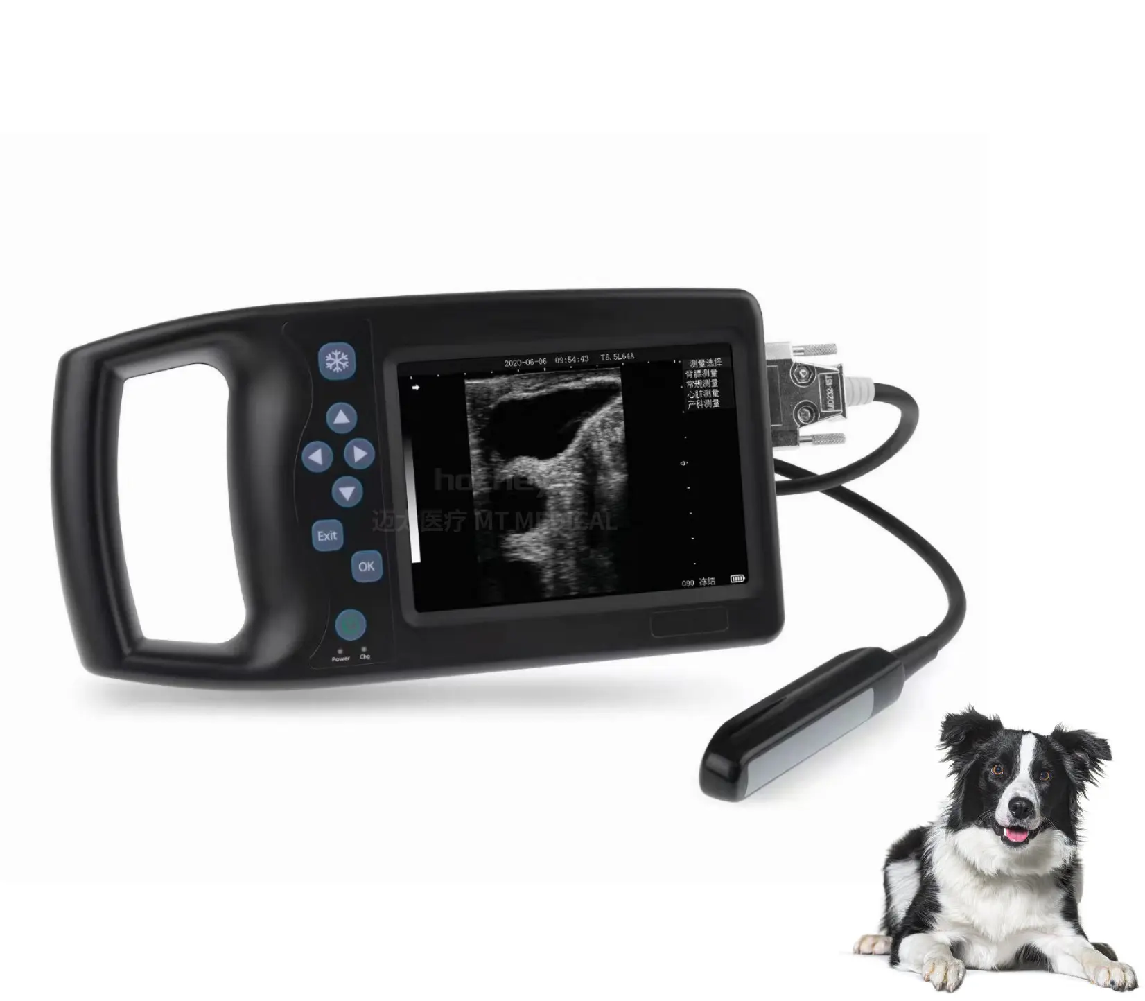 Ce iso approved waterproof portable handheld USG pet vet animal veterinary b ultrasound instrument equipment device system