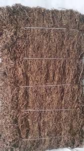 Feuilles de gelée d'herbe séchée/Mesona Chinensis du Vietnam - Product Image 5