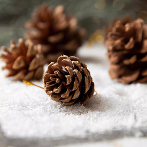 Décoration <span class=keywords><strong>de</strong></span> Noël : Cônes <span class=keywords><strong>de</strong></span> pin, ornements <span class=keywords><strong>en</strong></span> <span class=keywords><strong>bois</strong></span> pour <span class=keywords><strong>sapin</strong></span> <span class=keywords><strong>de</strong></span> Noël, pendentifs <span class=keywords><strong>de</strong></span> Noël <span class=keywords><strong>en</strong></span> forme <span class=keywords><strong>de</strong></span> cône <span class=keywords><strong>de</strong></span> pin pour le Nouvel An - Product Image 6