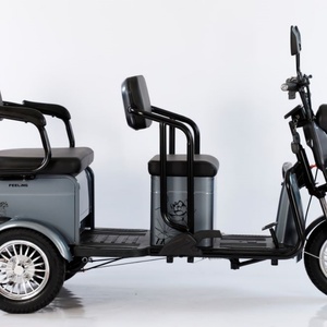 Triciclo Eléctrico Cómodo de 500W, Scooter Eléctrico de 3 Ruedas con Carrocería Abierta y 3 Asientos para Personas Mayores/Discapacitadas/Familias - Product Image 6