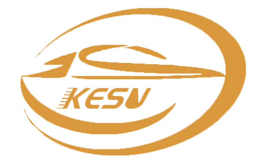 Shandong Kesu Import And Export Co., Ltd. logo