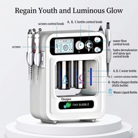 Appareil professionnel d'hydrodermabrasion 4-en-1 H2O2, exfoliant cutané, microcourant BIO et oxygène facial pour soins de la peau professionnels