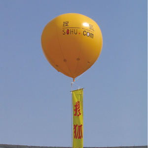 무료 샘플 제조사 직송 대형 광고용 에어 풍선 맞춤형 로고 제작 - Product Image 2