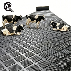 Tapete <span class=keywords><strong>de</strong></span> Goma Resistente para Ganado, Vacas Lecheras, Caballos, Equinos, Tapete <span class=keywords><strong>de</strong></span> Goma Agrícola - Product Image 1