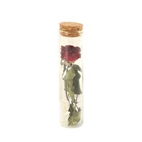 Rose véritable séchée en tube à essai, spécimen étoilé dans le ciel, bouteille à vœux, ornements décoratifs, cadeau de Saint-Valentin et de Noël