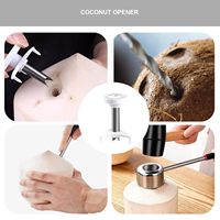 Perforateur de trous de noix de coco chaude grattoir de noix de coco en acier inoxydable avec trou de paille