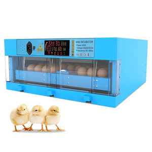 Incubateur automatique <span class=keywords><strong>à</strong></span> double puissance pour <span class=keywords><strong>œuf</strong></span>s <span class=keywords><strong>de</strong></span> volaille, bleu, poulet, canard, oies, cailles, pigeons, machine <span class=keywords><strong>à</strong></span> couver, <span class=keywords><strong>à</strong></span> <span class=keywords><strong>vendre</strong></span> au kenya - Product Image 1
