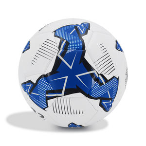 Welstar הסיטונאי מחיר זול הדפסה מותאם אישית 3 גודל 4 גודל 5 pvc אימון רך football - Product Image 5