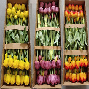 Flores de tulipán artificiales moradas para decoración de festivales de bodas nupciales ramo de flores de <span class=keywords><strong>tulipanes</strong></span> falsos de tacto Real - Product Image 2