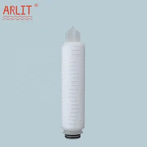 PES Material 10 Inch Pleated Cartridge Filter with 0.45 Micron Final Filtration of Sterilization