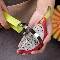 Fruitsnijgereedschap Set Fruitschotel Decoreren Gereedschapsset Graven Bal Schepje Snijmes Keukenaccessoires