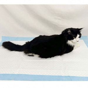 Almohadillas para Perros de Excelente Calidad, Personalizadas con Aroma, Materiales PE SAP, Fijación en las Cuatro Esquinas, Cómodas, Desechables, para Entrenamiento de Cachorros - Product Image 2