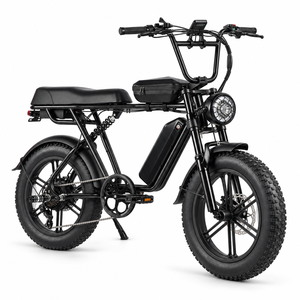 จักรยานไฟฟ้า City E-Bike 750W พร้อมแบตเตอรี่ถอดได้ จอ LCD และตะแกรงหลัง สำหรับผู้ใหญ่เดินทางประจำวัน รุ่น CEM-AEB66 ใหม่ 48V ราคาประหยัด E-MTB ขนาด 20 นิ้ว F - Product Image 4