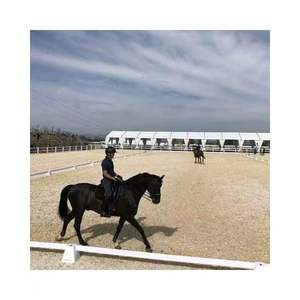 Lều Sự Kiện Ngoài Trời Sân Trường Cưỡi Ngựa Lớn Bằng Hợp Kim Nhôm - Product Image 5