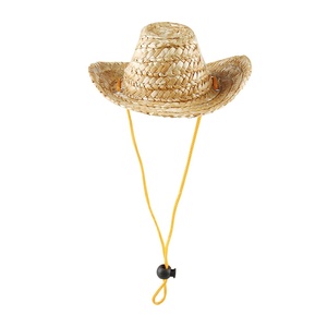 Bestseller Verão Pequeno Cão e Gato Chapéu de Sol <span class=keywords><strong>Top</strong></span> Pick <span class=keywords><strong>Pet</strong></span> Vestuário Acessório para Gatos e Cães Pequenos - Product Image 1