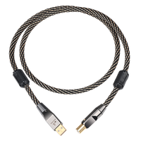 Câble USB HiFi de haute qualité, type A vers type B, pour DAC, moniteur et lecteur DVD, haut-parleur, mixeur, câble audio USB HiFi OFC