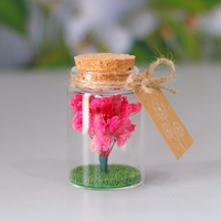 Bunga Gypsophila Alami Awet dalam Botol Kaca Mini, Pohon Baby's Breath Abadi untuk Souvenir Pernikahan, Dekorasi Rumah