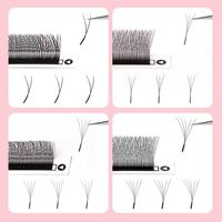 Nouveaux ventilateurs super étroits 2D W3D W4D W5D Clover W Extensions de cils avec 0,07 mm 0,05