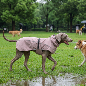 थोक कस्टम लोगो पर्यावरण अनुकूल कपास सर्दियों के कपड़े कुत्ते कोट - Product Image 4