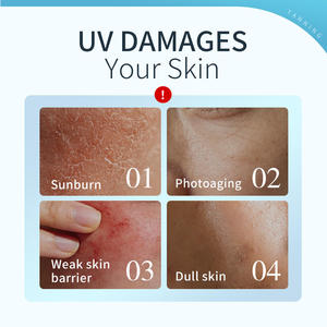 Crème solaire Icesea SPF50+ anti-brillance 50g - Protection UVA/UVB, défense quotidienne, vente en gros OEM/ODM - Product Image 3