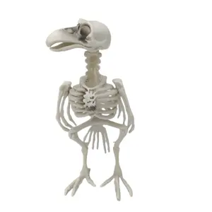 Fabricação De Plástico Clássico Brinquedo De Plástico Esqueleto Animal Corvo Esqueleto Modelo para Holiday Party Props Decoração Do Dia Das Bruxas