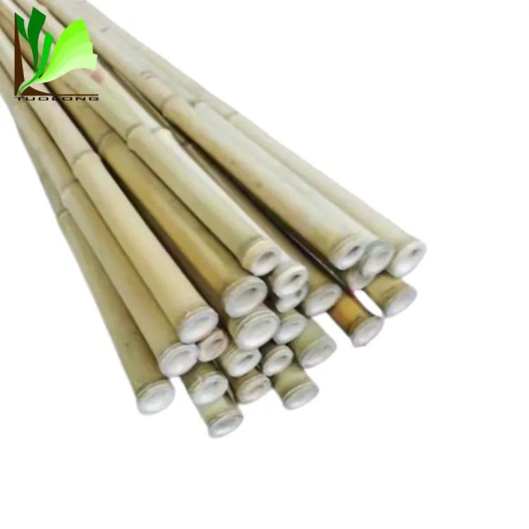 Высококачественная дешевая круглая сухая натуральная прямая необработаемая зеленая бамбуковая палка для палок для сада