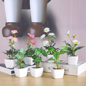 <span class=keywords><strong>Cactus</strong></span> falso en maceta de China, decoración interior decorativa para el hogar, plantas artificiales-<span class=keywords><strong>Comprar</strong></span> artificiales - Product Image 4