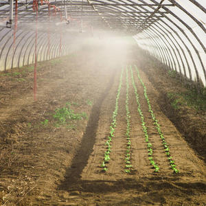 Serre d'agriculture 2020, fabrication chinoise avec hydroponique - Product Image 4