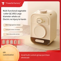 Hachoir Électrique Multifonctionnel Entièrement Automatique pour Légumes, Spiraleuse et Trancheuse à Pommes de Terre pour Cuisine Domestique