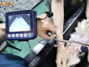 Instruments médicaux numériques à ultrasons pour animaux Usg chat chien vache mouton bétail cochon chèvre grossesse ultrasons - Product Image 3