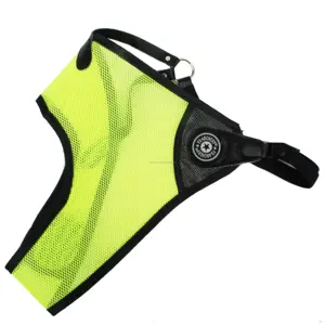 Leixun Boogschieten Kleurrijke Borstbeschermer Voor Recurve Boog En Compound Bow Shooting S M L Xl Size Rh Boogschieten Borstbeschermer